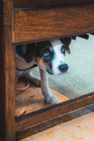 Street photography 2